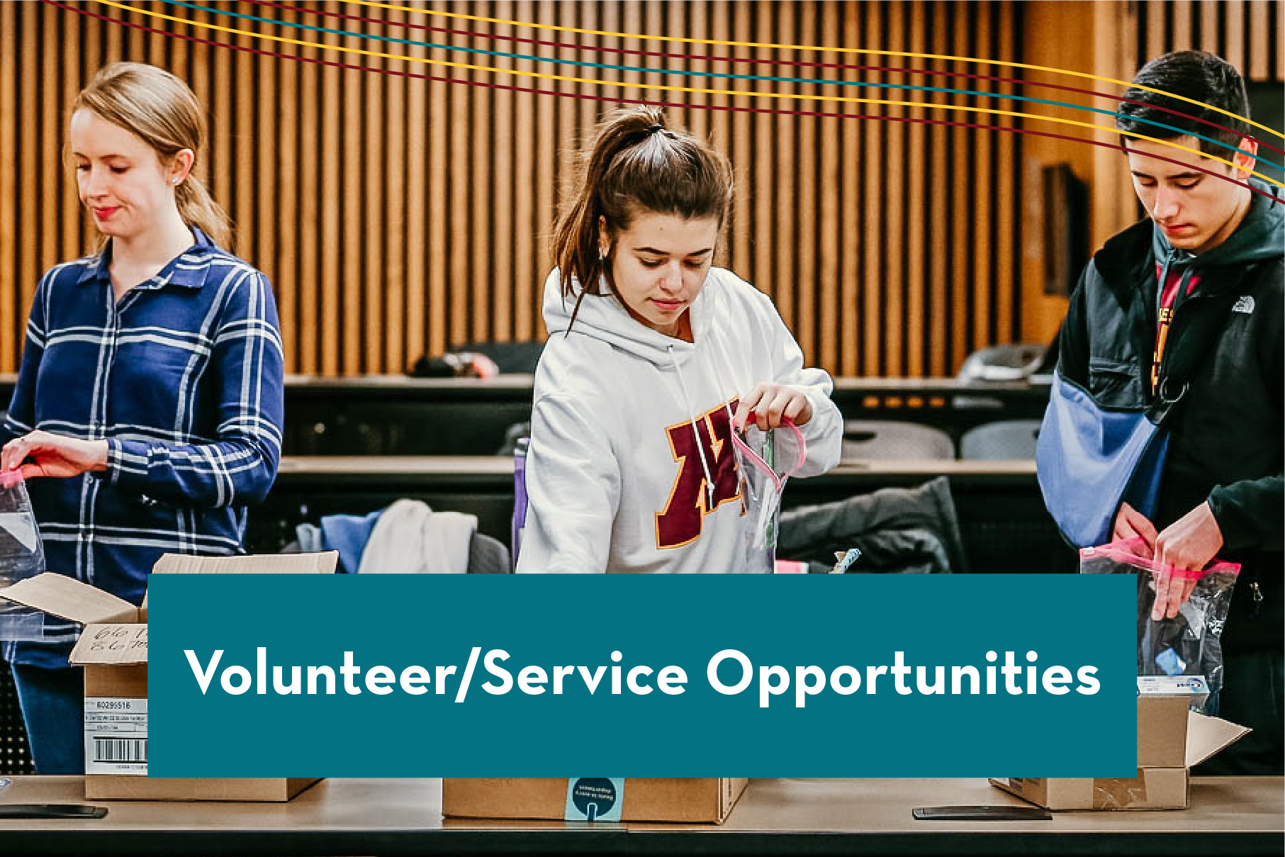 volunteer/service opportunities