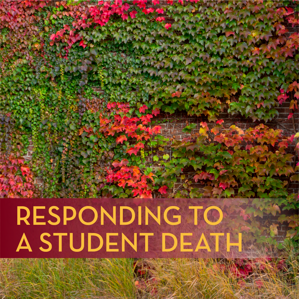 responding to a student death