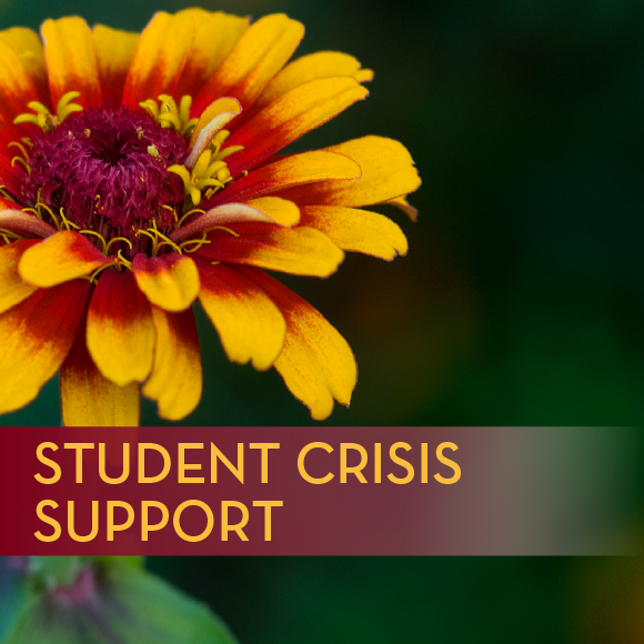 student crisis support